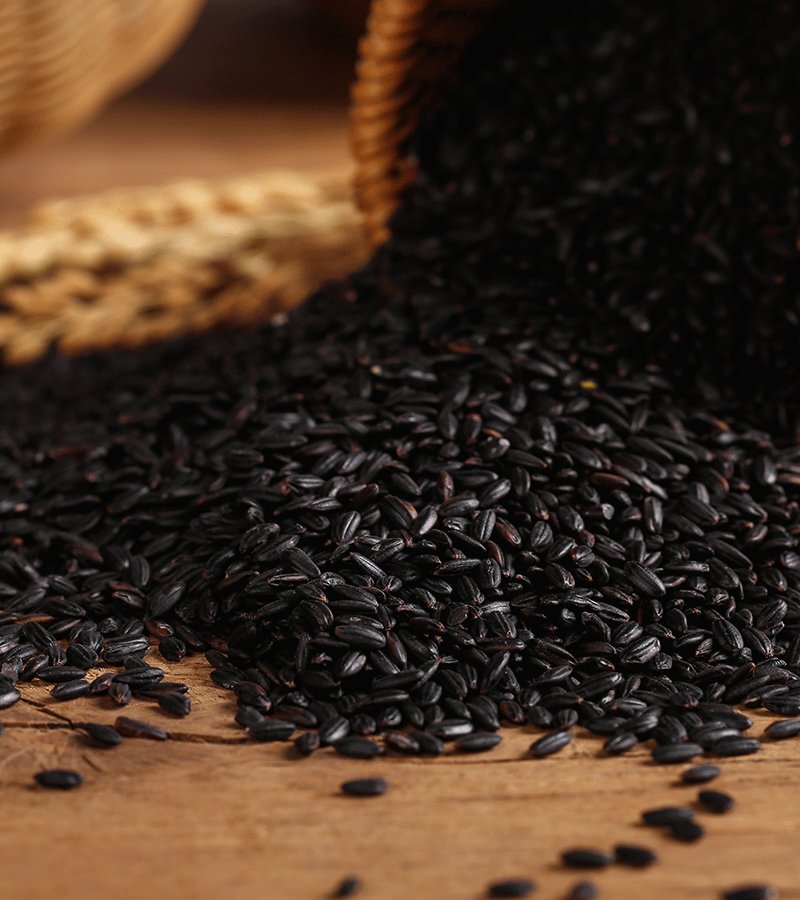 Shande Yinji· Organic Black Rice 1KG*2