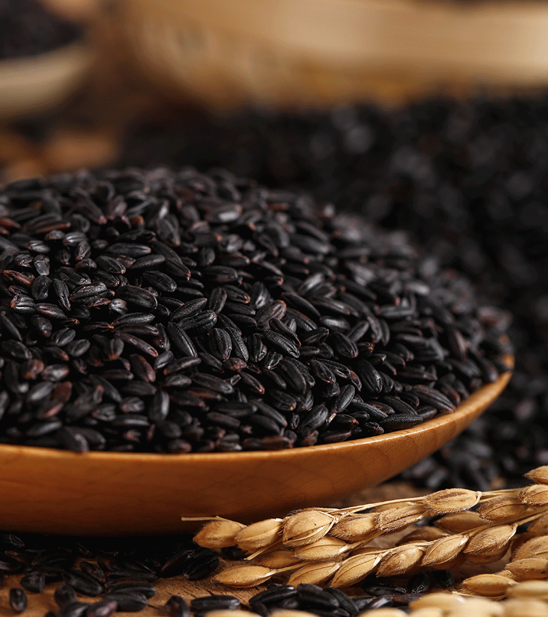 Shande Yinji· Organic Black Rice all-Year order