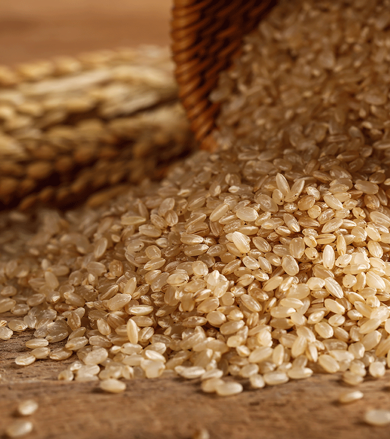 Shande Hometown Brown rice 1KG*2